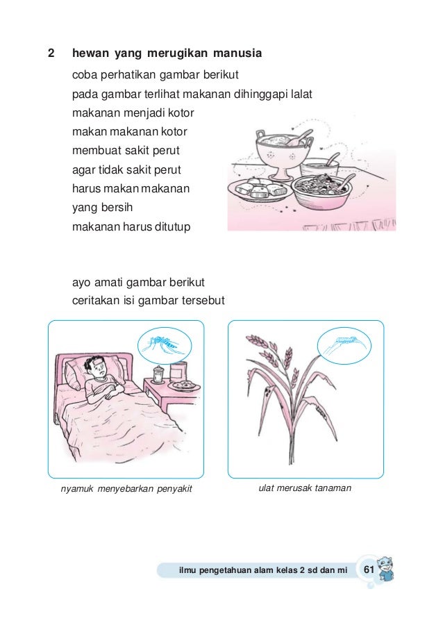 Ilmu pengetahuan alam 2
