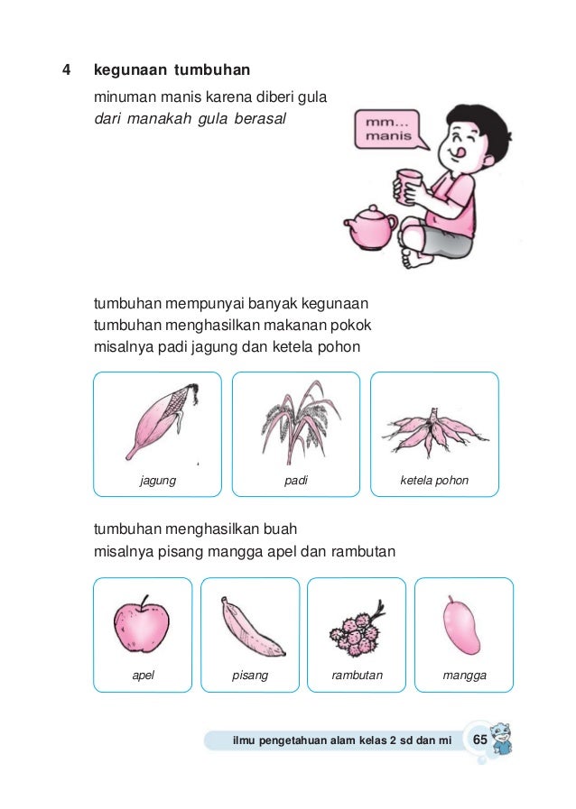 Ilmu Pengetahuan Alam 2 48732022