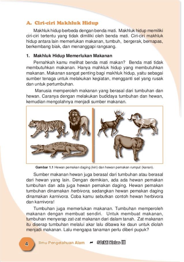 Sebutkan Ciri Ciri Bibit Jangkrik Yang Baik Untuk Dikembangbiakkan