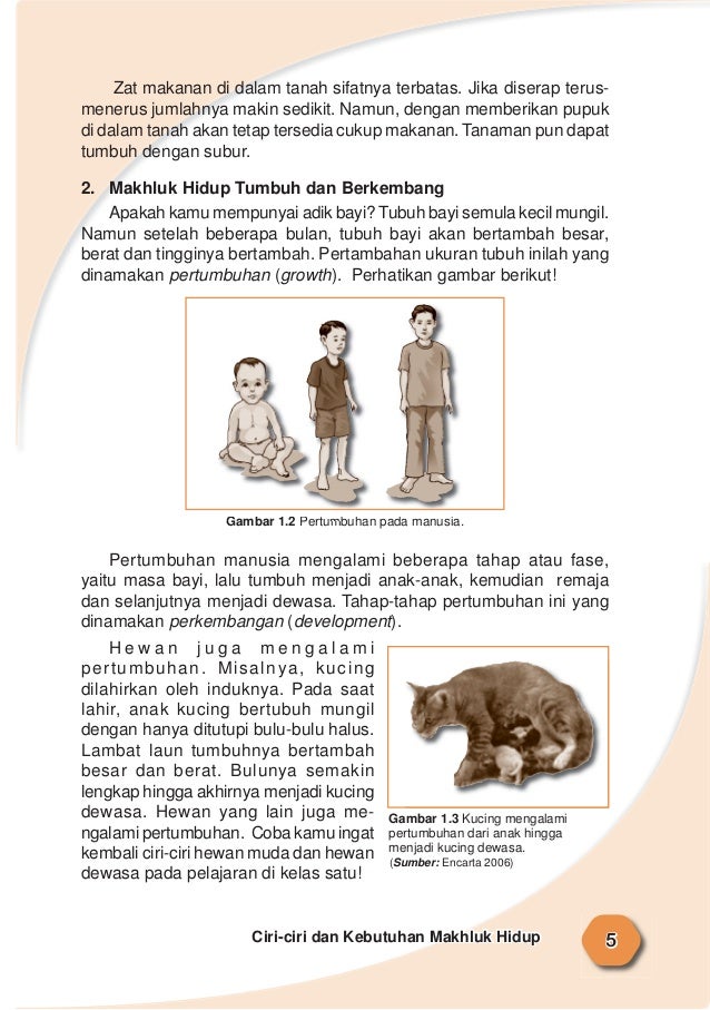 Ilmu pengetahuan alam 2