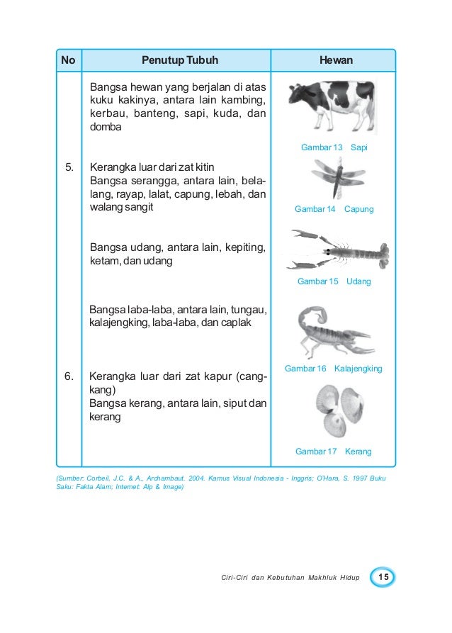 Ilmu pengetahuan alam 3 Ilmu pengetahuan alam 3