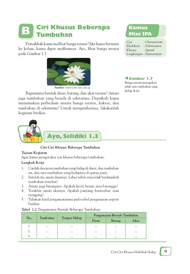 Ilmu Pengetahuan Alam Dan Lingkunganku 48688520