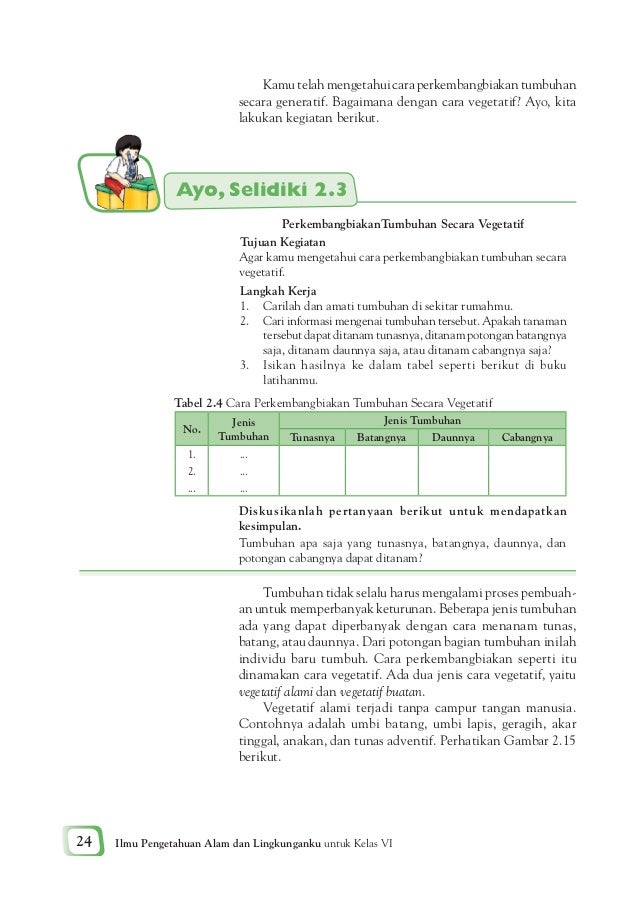 Ilmu Pengetahuan Alam Dan Lingkunganku 48688520