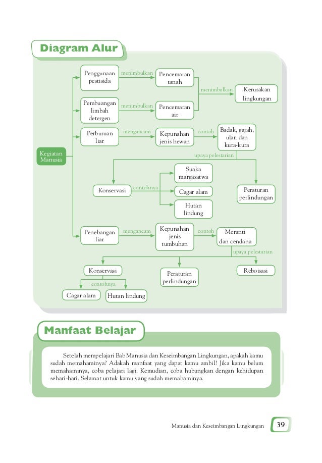 Lengkapilah Diagram Di Bawah Ini Dengan Jenis Tumbuh Tumbuhan Tersebut Neofotografi