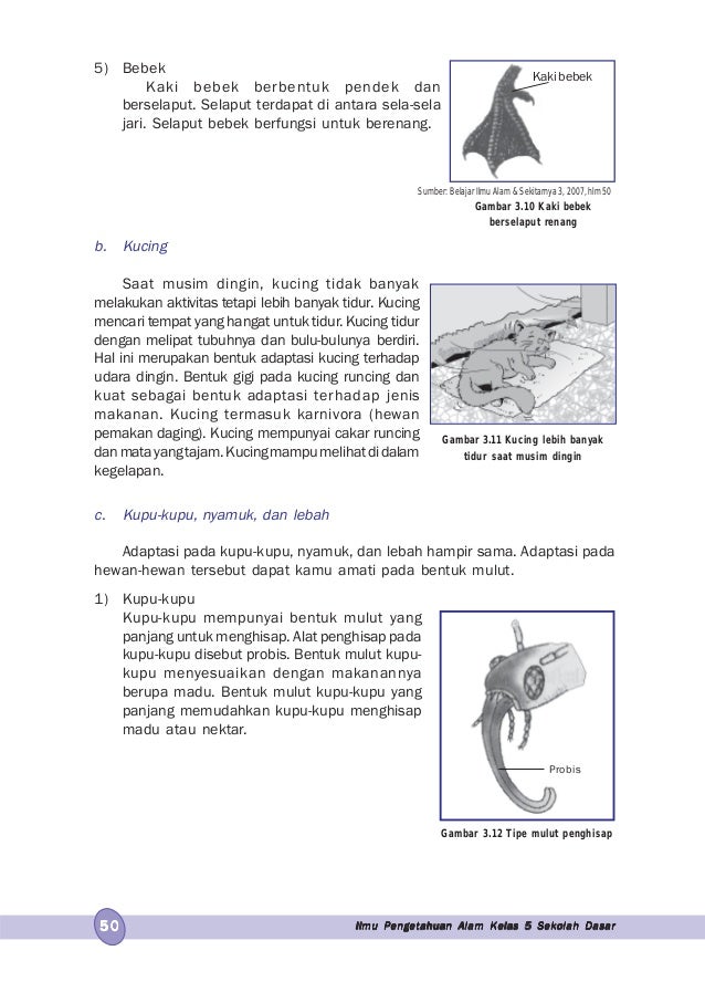 Ilmu Pengetahuan Alam Untuk Kelas 5 Sulistyowati