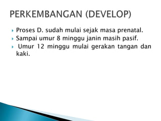  Proses D. sudah mulai sejak masa prenatal.
 Sampai umur 8 minggu janin masih pasif.
 Umur 12 minggu mulai gerakan tangan dan
kaki.
 