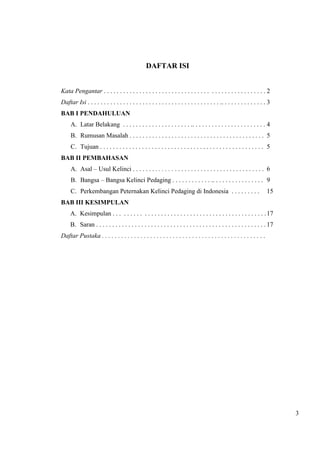 3 
DAFTAR ISI 
Kata Pengantar . . . . . . . . . . . . . . . . . . . . . . . . . . . . . . . . . . . . . . . . . . . . . . . . . . 2 
Daftar Isi . . . . . . . . . . . . . . . . . . . . . . . . . . . . . . . . . . . . . . . . . .. . . . . . . . . . . . . . 3 
BAB I PENDAHULUAN 
A. Latar Belakang . . . . . . . . . . . . . . . . . . . . . .. . . . . . . . . . . . . . . . . . . . . . . 4 
B. Rumusan Masalah . . . . . . . . . . . . . . . . . . . . . . . . . . . . . . . . . . . . . . . . . . 5 
C. Tujuan . . . . . . . . . . . . . . . . . . . . . . . . . . . . . . . . . . . . . . . . . . . . . . . . . . . 5 
BAB II PEMBAHASAN 
A. Asal – Usul Kelinci . . . . . . . . . . . . . . . . . . . . . . . . . . . . . . . . . . . . . . . . . 6 
B. Bangsa – Bangsa Kelinci Pedaging . . . . . . . . . . . . .. . . . . . . . . . . . . . . . 9 
C. Perkembangan Peternakan Kelinci Pedaging di Indonesia . . . . . . . . . 15 
BAB III KESIMPULAN 
A. Kesimpulan . . . . . . . . . . . . . . . . . . . . . . . . . . . . . . . . . . . . . . . . . . . . . . . 17 
B. Saran . . . . . . . . . . . . . . . . . . . . . . . . . . . . . . . . . . . . . . . . . . . . . . . . . . . . . 17 
Daftar Pustaka . . . . . . . . . . . . . . . . . . . . . . . . . . . . . . . . . . . . . . . . . . . . . . . . . . . 
 