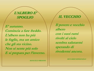 L’ALBERO E’
       SPOGLIO                      IL VECCHIO

E’ autunno.                        Il povero e vecchio
Comincia a fare freddo.            albero
L’albero non ha più                con i suoi rami
le foglie, ma un amico             rivolti al cielo
che gli sta vicino.                sembra salutarmi
Non si sente più solo              sperando di
E si prepara per l’inverno.        rivedermi ancora.
                                          RICCARDO RISSIGNOLO
                MANUELE SIRIANNI
 