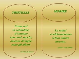 TRISTEZZA                  MORIRE



    Come noi
  in solitudine,              Le radici
    d’autunno            si addormentano
con rami secchi,           al loro ultimo
assenza di foglie             inverno.
 sono gli alberi.
                              ANDREA TAGLIAFERRI

        MATTEO MAZZONE
 
