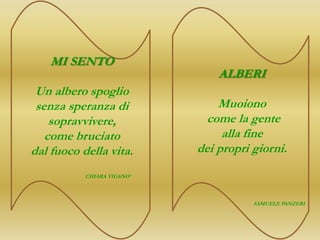 MI SENTO
                                ALBERI
 Un albero spoglio
 senza speranza di              Muoiono
    sopravvivere,             come la gente
   come bruciato                 alla fine
dal fuoco della vita.       dei propri giorni.
           CHIARA VIGANO’



                                       SAMUELE PANZERI
 