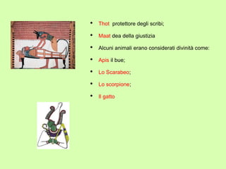 • Thot protettore degli scribi;
• Maat dea della giustizia
• Alcuni animali erano considerati divinità come:
• Apis il bue;
• Lo Scarabeo;
• Lo scorpione;
• Il gatto
 