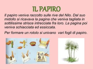 Il papiro veniva raccolto sulle rive del Nilo. Dal suo
midollo si ricavava la pagina che veniva tagliata in
sottilissime strisce intrecciate fra loro. La pagina poi
veniva schiacciata ed essiccata.
Per formare un rotolo si univano vari fogli di papiro.
 