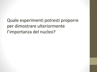 Quale esperimenti potresti proporre
per dimostrare ulteriormente
l’importanza del nucleo?
 
