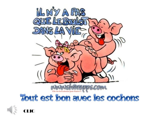 Tout Est Bon Avec Le Cochon Tout Est Bon Avec Le Cochon