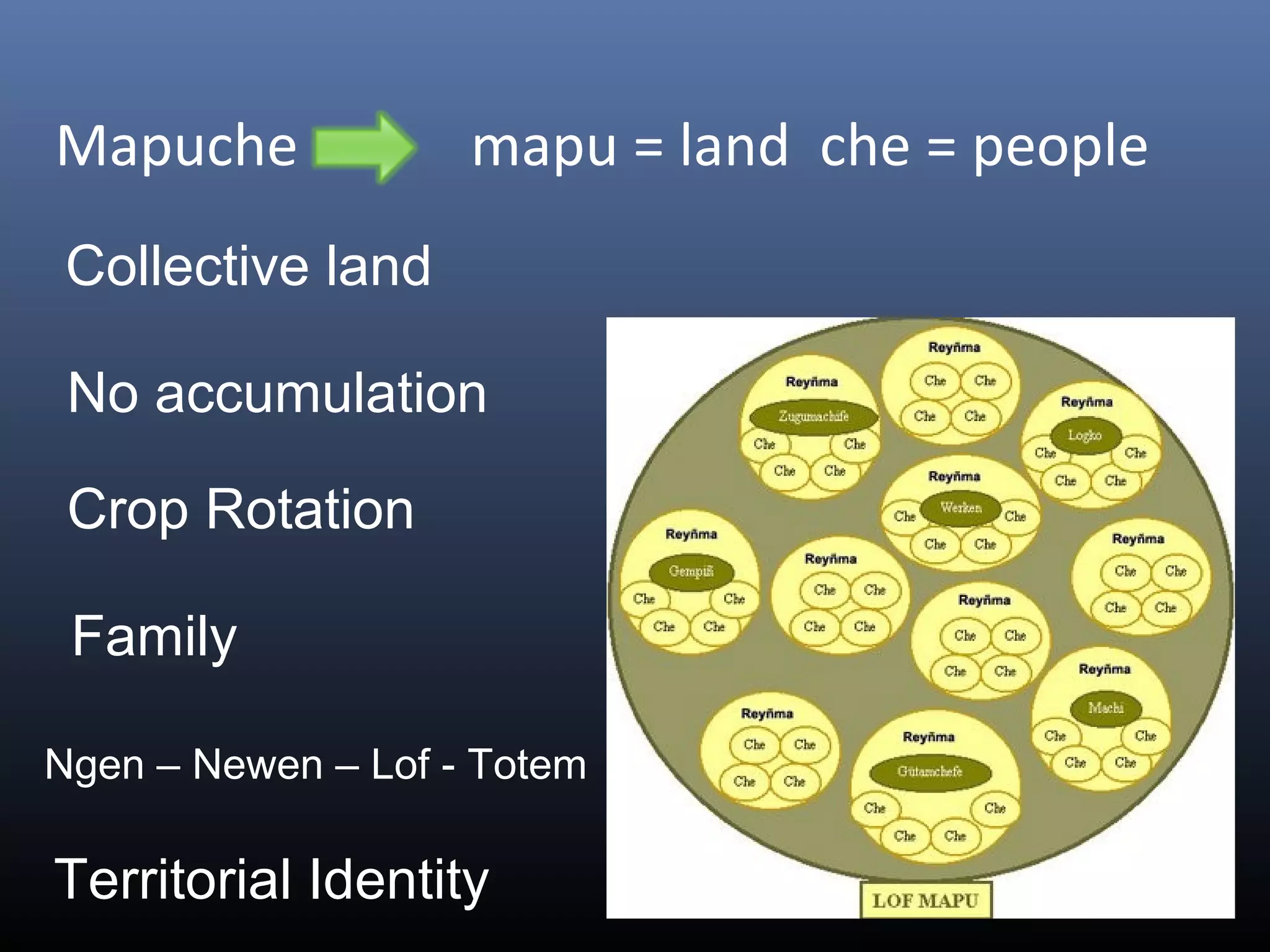 Mapuche mapu = land che = people
Collective land
No accumulation
Crop Rotation
Family
Ngen – Newen – Lof - Totem
Territorial Identity
 