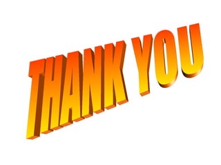 international labour organisation