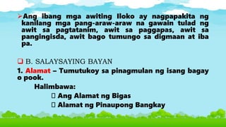 Ang ibang mga awiting Iloko ay nagpapakita ng
kanilang mga pang-araw-araw na gawain tulad ng
awit sa pagtatanim, awit sa paggapas, awit sa
pangingisda, awit bago tumungo sa digmaan at iba
pa.
 B. SALAYSAYING BAYAN
1. Alamat – Tumutukoy sa pinagmulan ng isang bagay
o pook.
Halimbawa:
Ang Alamat ng Bigas
Alamat ng Pinaupong Bangkay
 