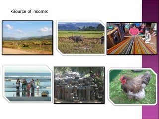 •Source of income: 
 