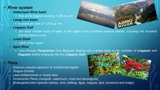Ilocos Rivers Region I Ilocos | PPTX