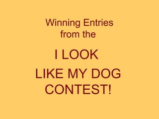 Winning Entries
from the

I LOOK
LIKE MY DOG
CONTEST!

 