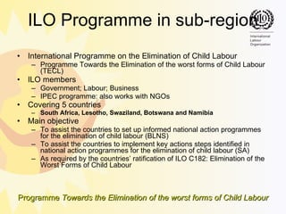 ILO Programme in sub-region International Programme on the Elimination of Child Labour  Programme Towards the Elimination of the worst forms of Child Labour (TECL) ILO members Government; Labour; Business IPEC programme: also works with NGOs Covering 5 countries   South Africa, Lesotho, Swaziland, Botswana and Namibia Main objective To assist the countries to set up informed national action programmes for the elimination of child labour (BLNS) To assist the countries to implement key actions steps identified in national action programmes for the elimination of child labour (SA) As required by the countries’ ratification of ILO C182: Elimination of the Worst Forms of Child Labour 