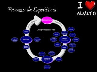 Processo da Experiência
 