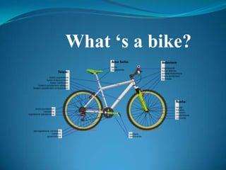 What ‘s a bike?
