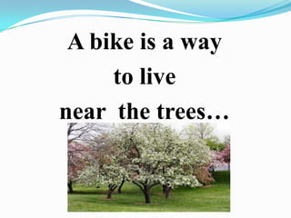 A bike is a way
to live
near the trees…