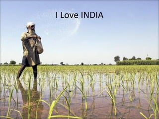 I Love INDIA 