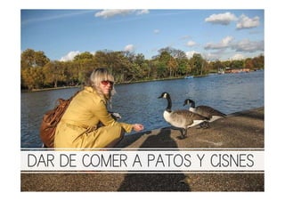 DAR DE COMER A PATOS Y CISNES
 