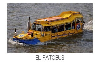 EL PATOBUS
 
