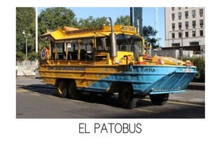 EL PATOBUS
 