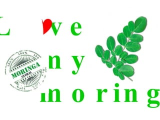 i Love my moringa 