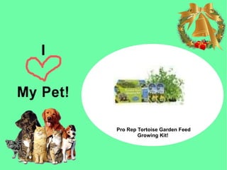 prorep tortoise feed growing kit