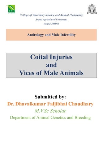 Andrology and Male Infertility
Submitted by:
Dr. Dhavalkumar Faljibhai Chaudhary
M.V.Sc Scholar
Department of Animal Genetics and Breeding
College of Veterinary Science and Animal Husbandry,
Anand Agricultural University,
Anand-388001
Coital Injuries
and
Vices of Male Animals
 