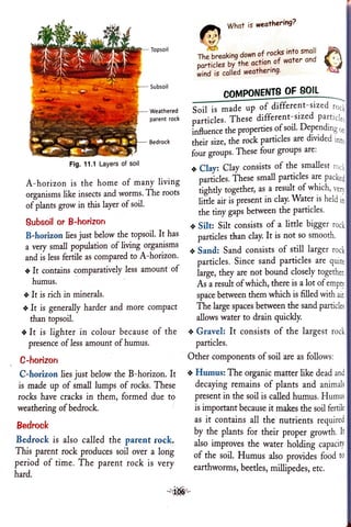 Class 7 Soil | PDF