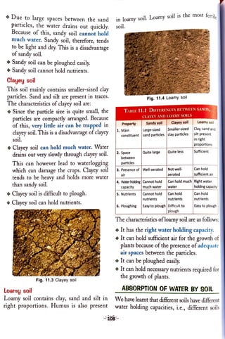 Class 7 Soil | PDF