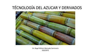 TÉCNOLOGÍA DEL AZUCAR Y DERIVADOS
Dr. Ángel Wilson Mercado Seminario
DOCENTE
 
