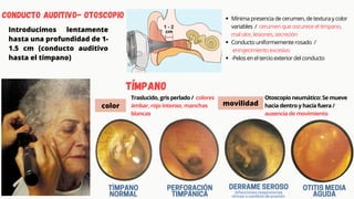 Exploración física | PDF