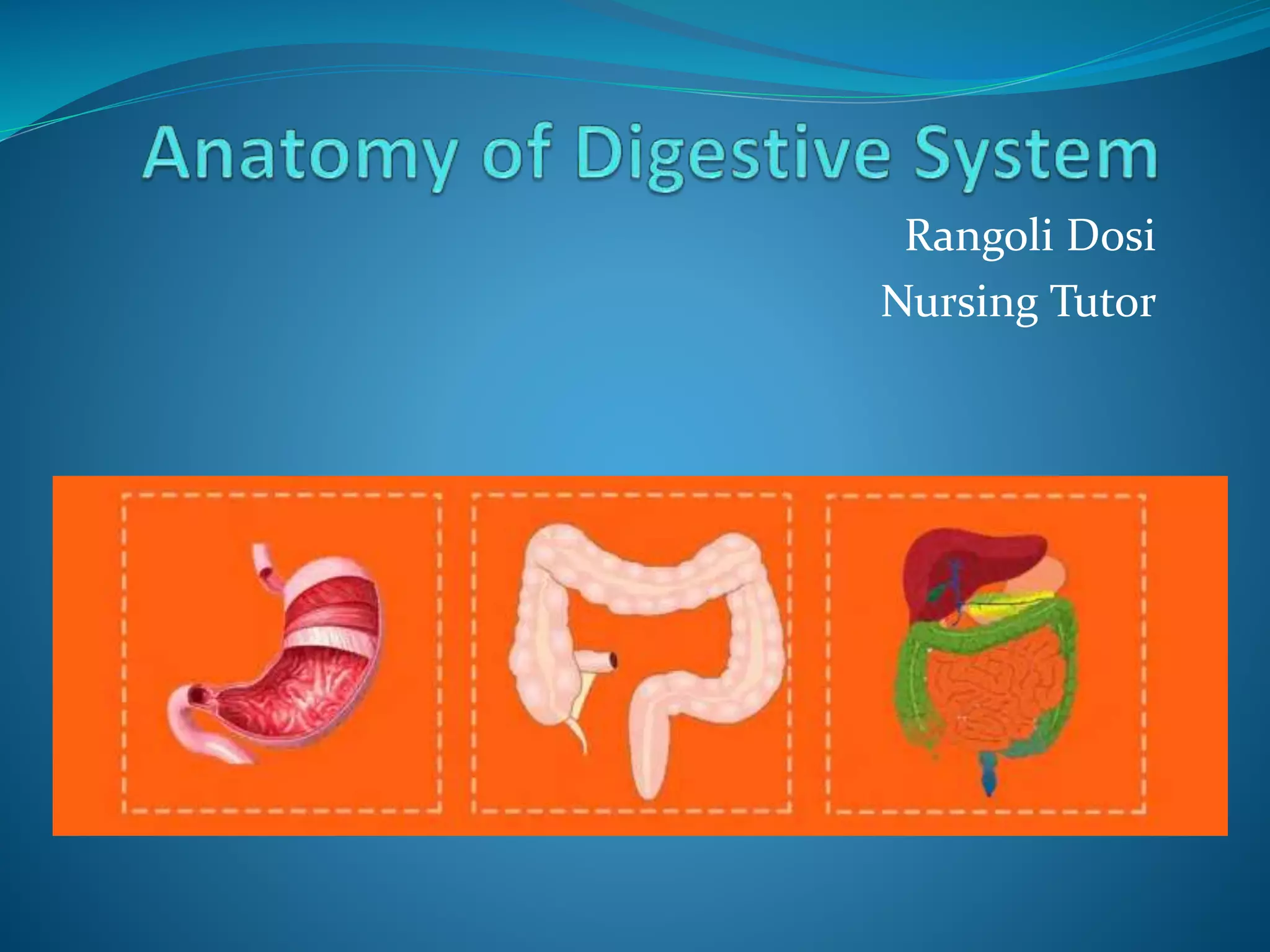 DIGESTIVE SYSTEM anatomy and physiology of Bsc nursing pdf/pptx | PDF