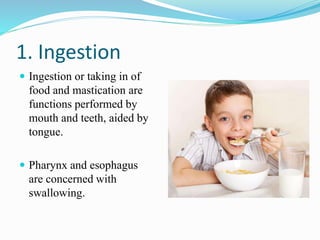 Ingestion Examples DIGESTIVE SYSTEM anatomy and physiology of Bsc nursing pdf/pptx | PDF