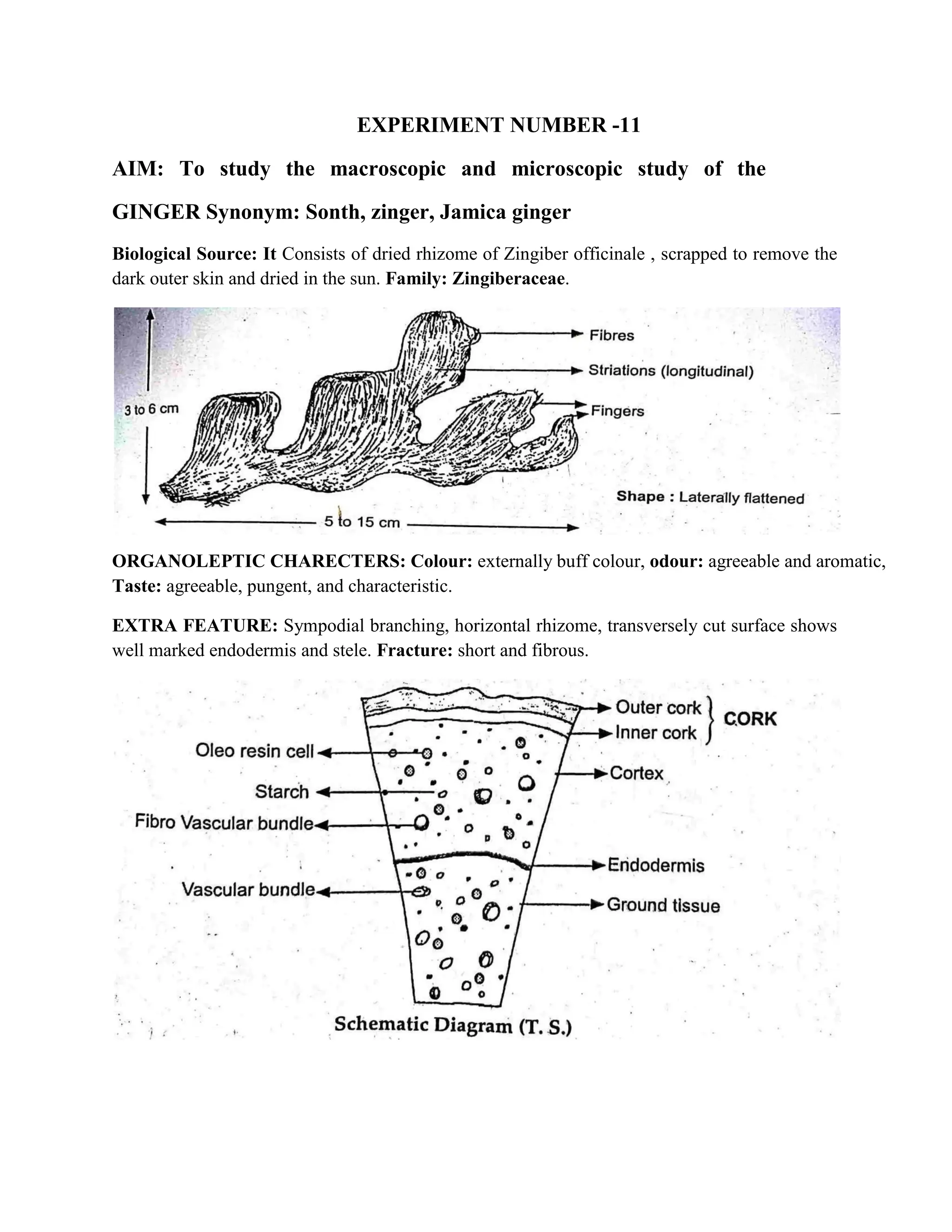 Practical Manual of Pharmacognosy Diploma in Pharmacy 1st year.pdf