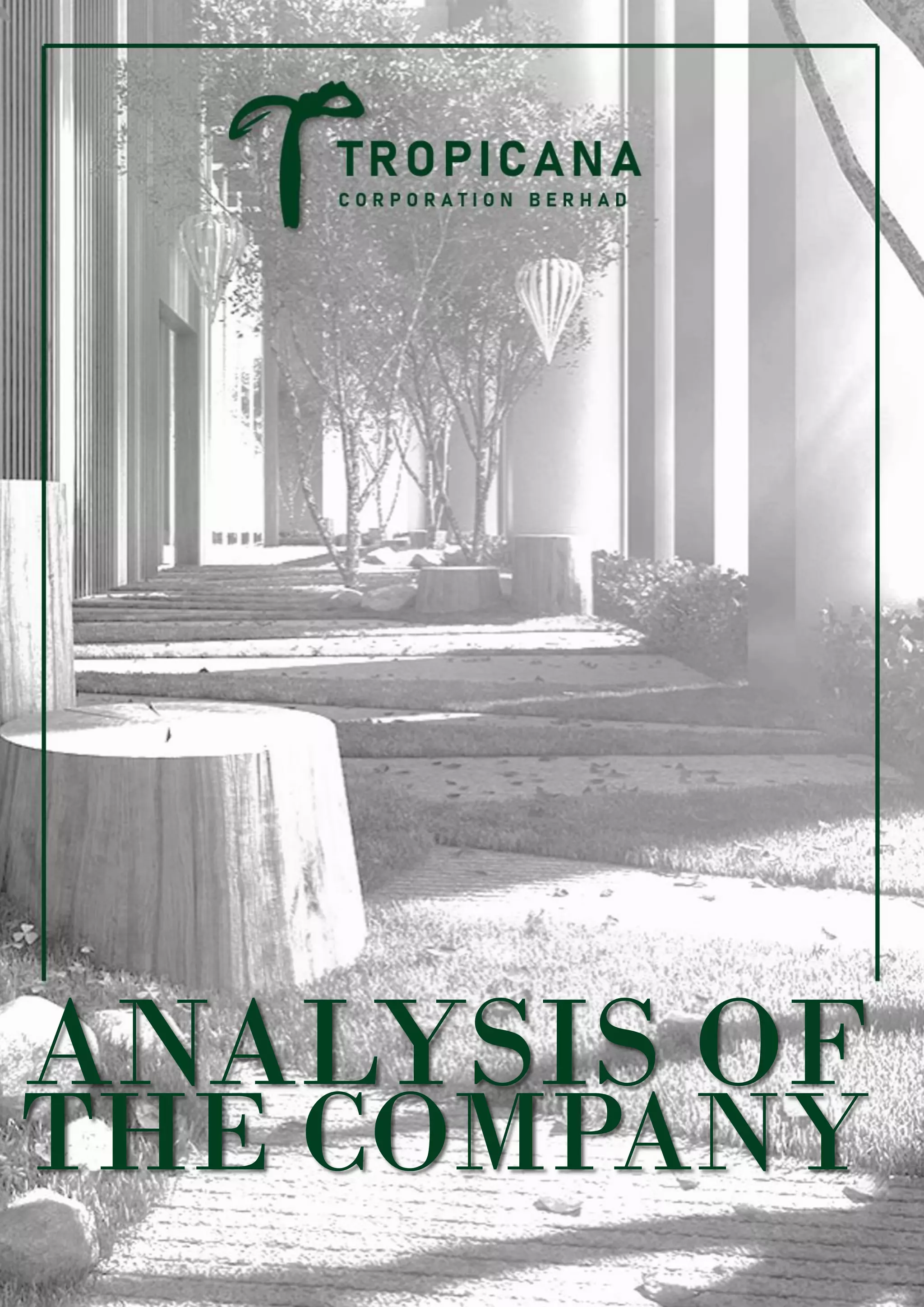 ANALYSIS OF
THE COMPANY
 