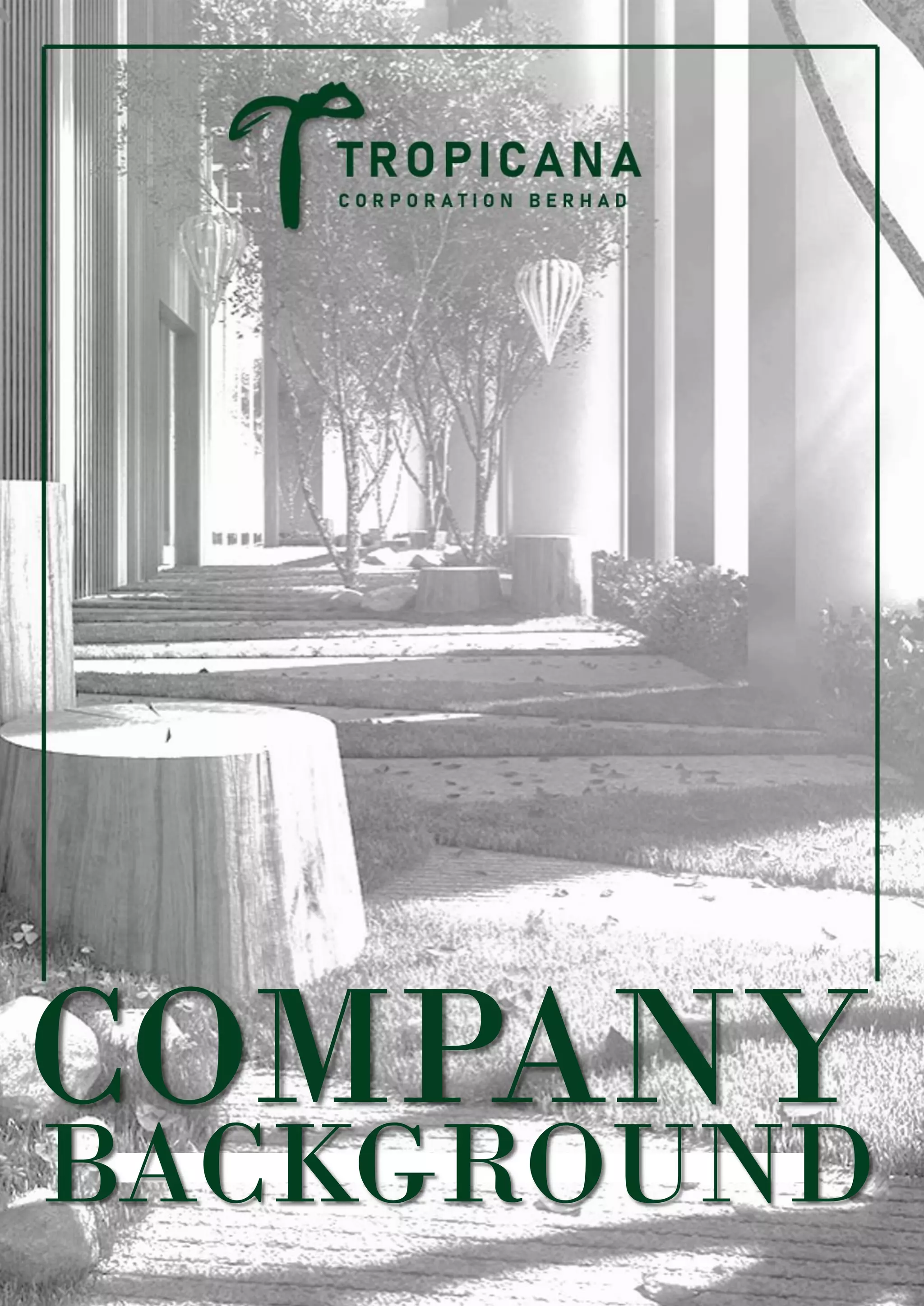 COMPANY
BACKGROUND
 