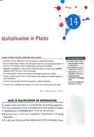 14
Multiplication in Plants
KNOW THESE PoINTS BEFORE YoU START
Learning Objectives
Formation of new organisms from the parents is called reproduction. The students will be able to
+understand the meaning
of reproduction.
Asexual reproduction involves only one parentand but no reproductive organs. It
may occur by budding, fission, fragmentation and spore formation.
Vegetative propagation is also found in flowering plants and occurs by modified
vegetative parts like roots, stems and leaves.
learn different modes of
reproduction in plants.
study various means of
The male gametes in plants are pollens and female gametes are ovules.
Transfer of pollen grains from a male flower to the stigma of a female flower is
called pollination.
vegetative reproduction.
understand sexual
reproduction in flowering
plants.
Fusion of male gamete with female gamete is called fertilisation. study fruit formation and
germination of seeds.
Fertilised ovum develops into embryo and ovule with embryo forms the seed.
Now, study the chapter in detail.
WHAT IS MULTIPLICATION OR REPRODUCTION
To produce their own kind is a characteristic of all living organisms.
Thus, the production of new individuals from their parents is known
as reproduction or multiplication. Now, we can say that:
Reproduction is the most important characteristic of living
organisms.
It is the basic life process that helps maintain the continuityofrace.
 