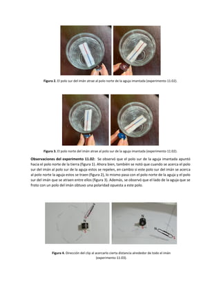 Figura 2. El polo sur del imán atrae al polo norte de la aguja imantada (experimento 11.02).
Figura 3. El polo norte del imán atrae al polo sur de la aguja imantada (experimento 11.02).
Observaciones del experimento 11.02: Se observó que el polo sur de la aguja imantada apuntó
hacia el polo norte de la tierra (figura 1). Ahora bien, también se notó que cuando se acerca el polo
sur del imán al polo sur de la aguja estos se repelen, en cambio si este polo sur del imán se acerca
al polo norte la aguja estos se traen (figura 2), lo mismo pasa con el polo norte de la aguja y el polo
sur del imán que se atraen entre ellos (figura 3). Además, se observó que el lado de la aguja que se
froto con un polo del imán obtuvo una polaridad opuesta a este polo.
Figura 4. Dirección del clip al acercarlo cierta distancia alrededor de todo el imán
(experimento 11.03).
S
S
N
N
N
S
N
S
 