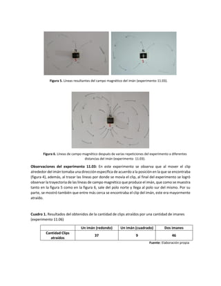 Figura 5. Líneas resultantes del campo magnético del imán (experimento 11.03).
Figura 6. Líneas de campo magnético después de varias repeticiones del experimento a diferentes
distancias del imán (experimento 11.03).
Observaciones del experimento 11.03: En este experimento se observa que al mover el clip
alrededor del imán tomaba una dirección específica de acuerdo a la posición en la que se encontraba
(figura 4), además, al trazar las líneas por donde se movía el clip, al final del experimento se logró
observar la trayectoria de las líneas de campo magnético que produce el imán, que como se muestra
tanto en la figura 5 como en la figura 6, sale del polo norte y llega al polo sur del mismo. Por su
parte, se mostró también que entre más cerca se encontraba el clip del imán, este era mayormente
atraído.
Cuadro 1. Resultados del obtenidos de la cantidad de clips atraídos por una cantidad de imanes
(experimento 11.06)
Un imán (redondo) Un imán (cuadrado) Dos imanes
Cantidad Clips
atraídos
37 9 46
Fuente: Elaboración propia
S
S S
N
N N
 