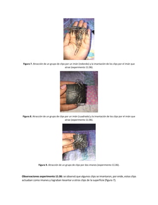 Figura 7. Atracción de un grupo de clips por un imán (redondo) y la imantación de los clips por el imán que
atrae (experimento 11.06).
Figura 8. Atracción de un grupo de clips por un imán (cuadrado) y la imantación de los clips por el imán que
atrae (experimento 11.06).
Figura 9. Atracción de un grupo de clips por dos imanes (experimento 11.06).
Observaciones experimento 11.06: se observó que algunos clips se imantaron, por ende, estos clips
actuaban como imanes y lograban levantar a otros clips de la superficie (figura 7).
 