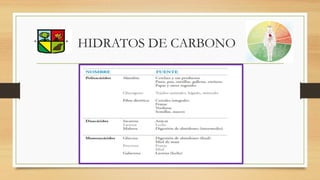 HIDRATOS DE CARBONO
 