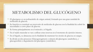 METABOLISMO DEL GLUCÓGENO
• El glucógeno es un polisacárido de origen animal, formado por una gran cantidad de
moléculas de glucosa.
• Su función es constituir un reservorio de moléculas de glucosa con la finalidad de cubrir las
necesidades a corto plazo de glucosa.
• Se forma principalmente en el músculo y el hígado.
• En el tejido muscular se van a utilizar estas reservas en el momento de ejercicio intenso.
• En el hígado, se almacena con la finalidad de mantener los niveles de glucosa en sangre.
• Se divide en dos procesos: Glucogenogénesis o síntesis del glucógeno (anabólico), y
glucogenólisis o degradación del glucógeno (catabólico).
 